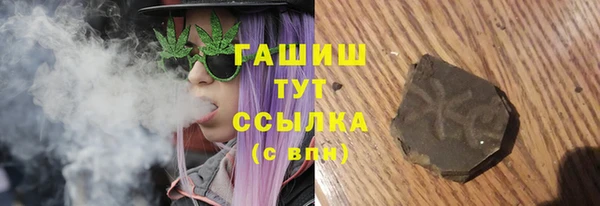 гидра Алексеевка