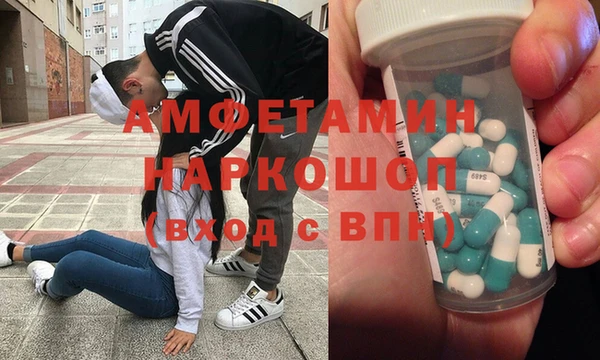 гидра Алексеевка