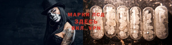 гидра Алексеевка