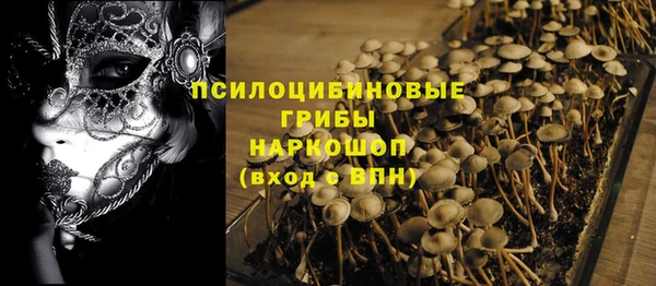винт Алзамай